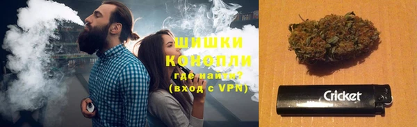 трава Абаза