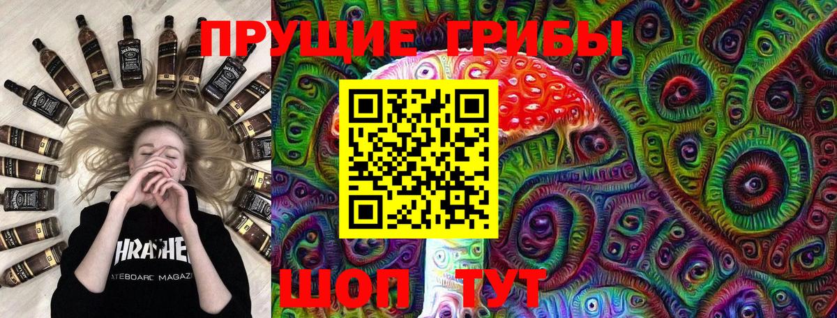 Галлюциногенные грибы Psilocybe  где можно купить наркотик  Алатырь  Вход с VPN 