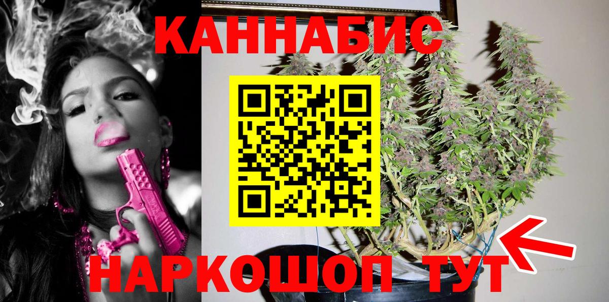 Канабис OG Kush Алатырь